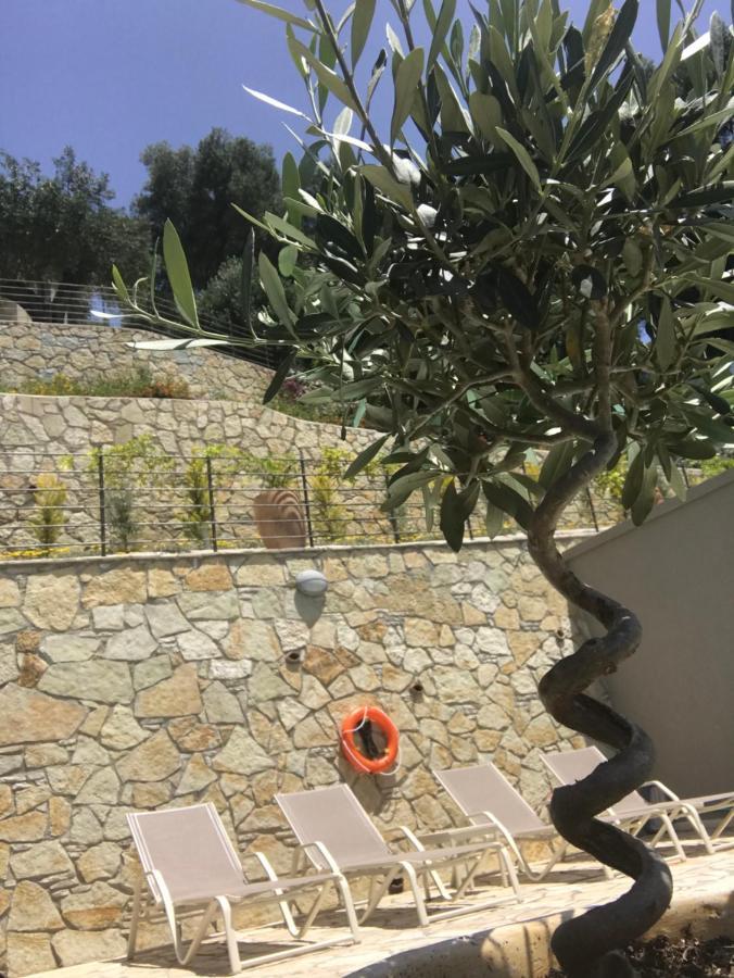 Asaya Hills Villas 파르가 외부 사진